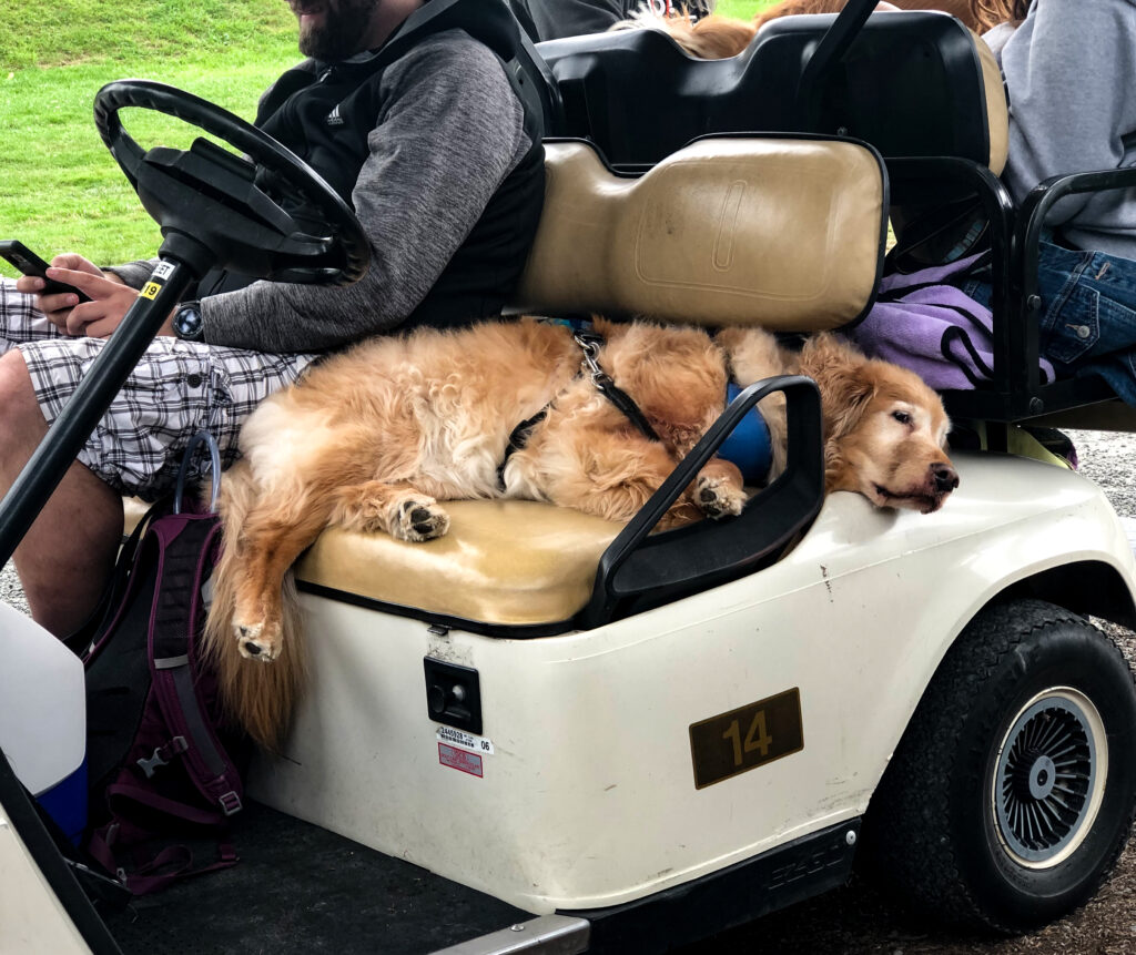 Golf Cart