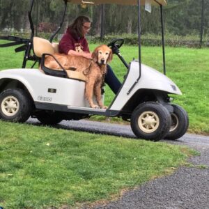 Golf Cart - 2 Seater