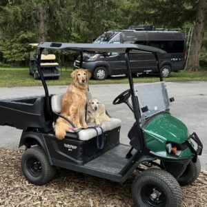 Utility Golf Cart